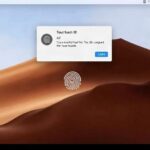Настройка Touch ID и пароля на MacBook: как сделать вход в систему быстрым и безопасным